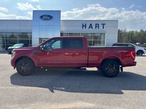 Used 2021 Ford F150 XLT w/ Equipment Group 302A High AWD/4WD image 6