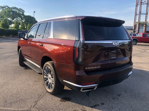 Used 2022 Cadillac Escalade Premium Luxury AWD/4WD image 5