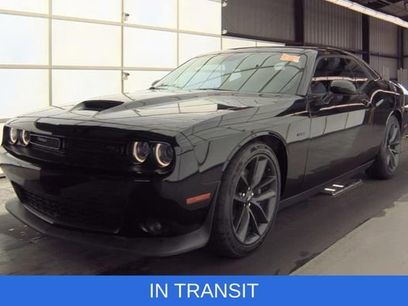 Used 2019 Dodge Challenger R/T w/ Plus Package