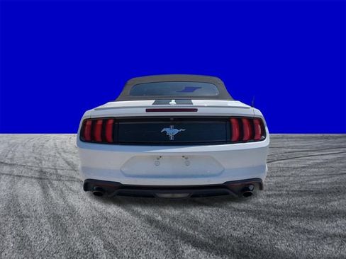 Certified 2020 Ford Mustang Premium w/ Equipment Group 201A RWD image 5