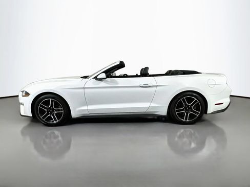 Used 2021 Ford Mustang Premium RWD image 4
