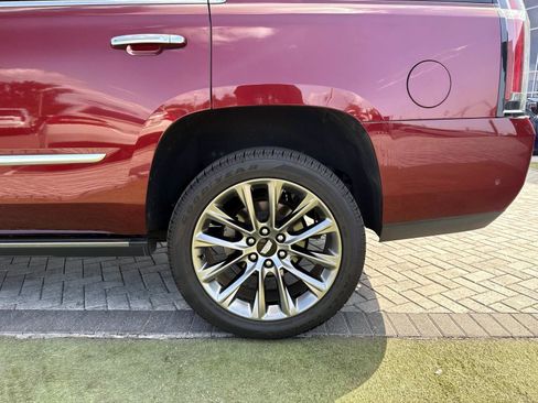 Used 2019 Cadillac Escalade Platinum RWD image 11