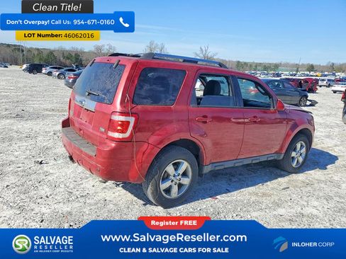 Used 2010 Ford Escape Limited image 4