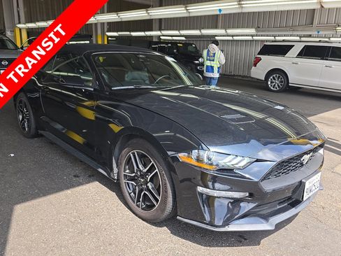 Used 2023 Ford Mustang Premium RWD image 5