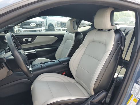 Used 2025 Ford Mustang Premium w/ Mustang Nite Pony Package RWD image 14
