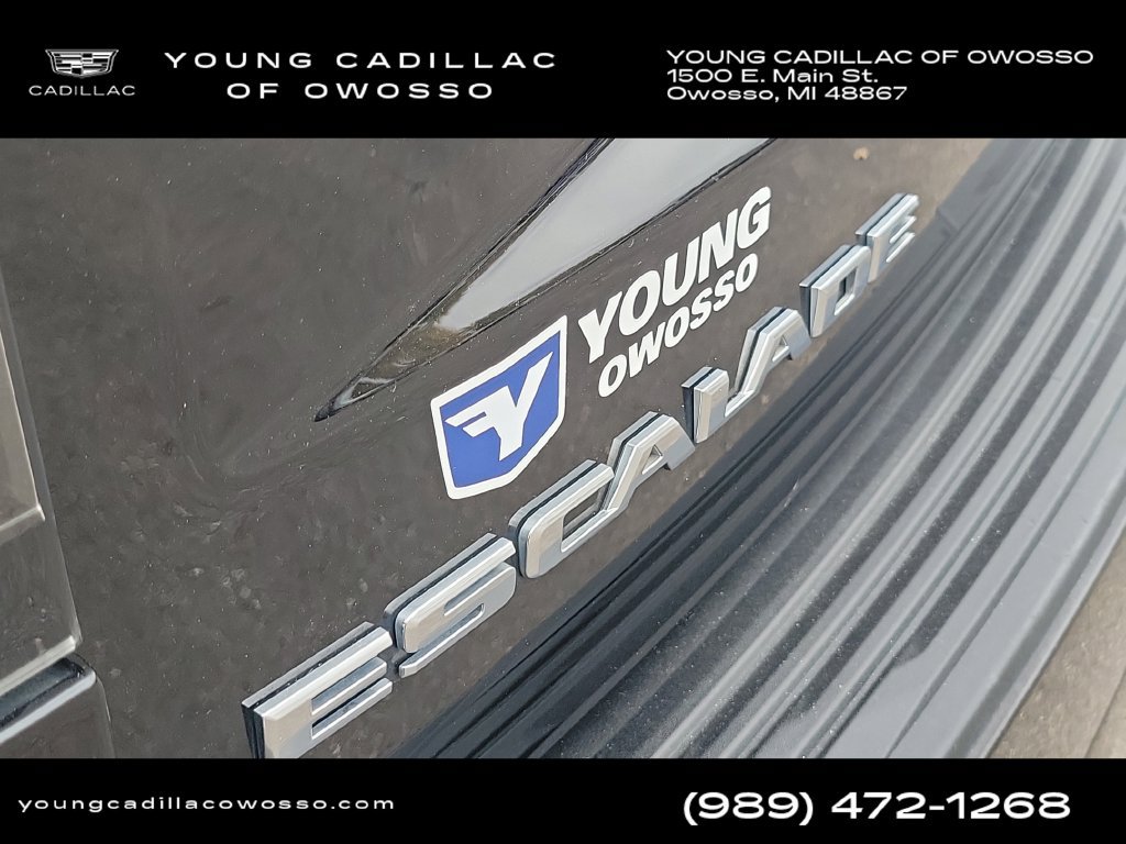 Used 2025 Cadillac Escalade Premium Luxury AWD/4WD image 9