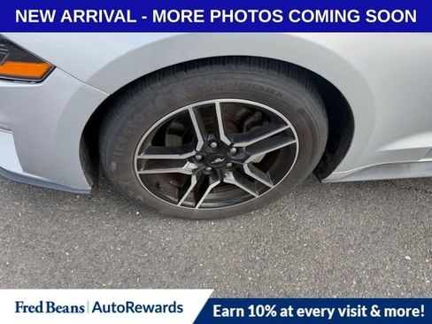 Used 2019 Ford Mustang Premium image 4