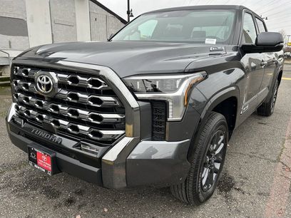 New 2026 Toyota Tundra Platinum