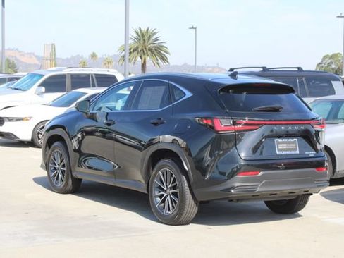 Certified 2026 Lexus NX 350h AWD w/ Cold Area Package image 19