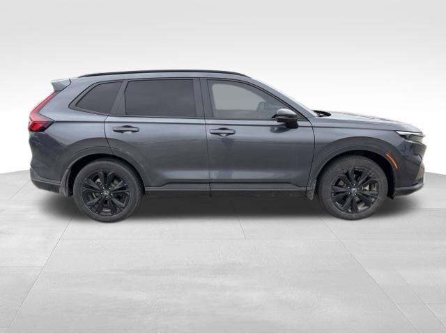 Used 2025 Honda CR-V Sport Touring image 6