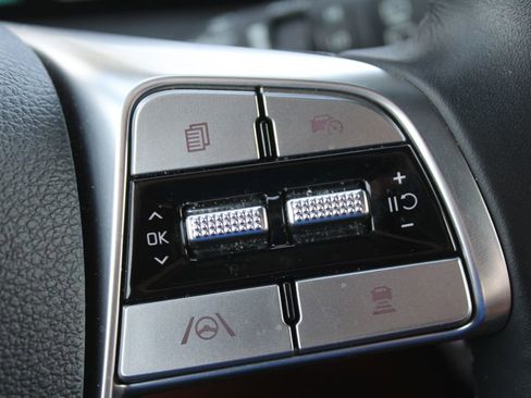 Used 2024 Kia Telluride SX Prestige X-Line image 38