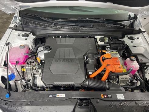 New 2026 Hyundai Elantra Blue image 3