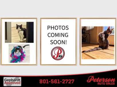 Used 2012 Nissan Juke SL