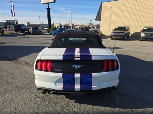 Used 2023 Ford Mustang Premium image 6