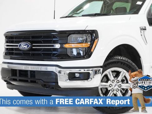 Used 2025 Ford F150 XLT w/ Equipment Group 301A Standard AWD/4WD image 2