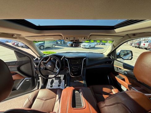 Used 2019 Cadillac Escalade Luxury image 12