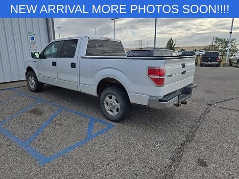 Used 2014 Ford F150 XLT w/ XLT Convenience Package AWD/4WD image 6