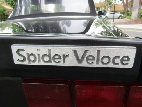 Used 1987 Alfa Romeo Spider Veloce image 12