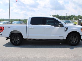 Used 2023 Ford F150 XLT w/ Equipment Group 302A High video 5