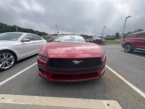 Used 2024 Ford Mustang Premium RWD image 4