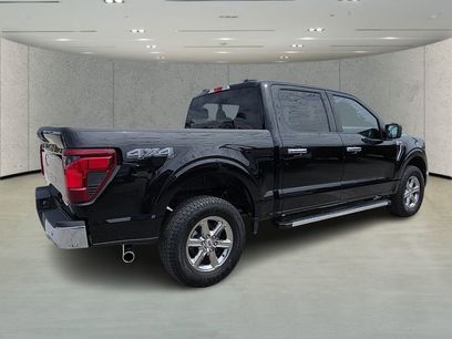 Used 2025 Ford F150 XLT w/ Equipment Group 301A Standard