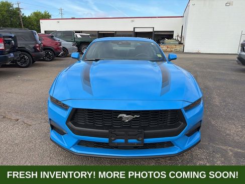 Used 2025 Ford Mustang Premium image 2