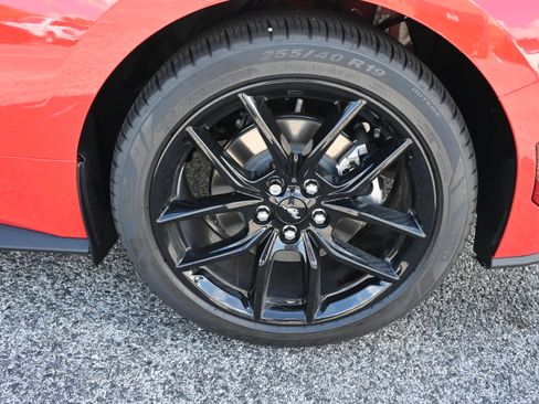 New 2026 Ford Mustang Coupe w/ Mustang Nite Pony Package RWD image 9