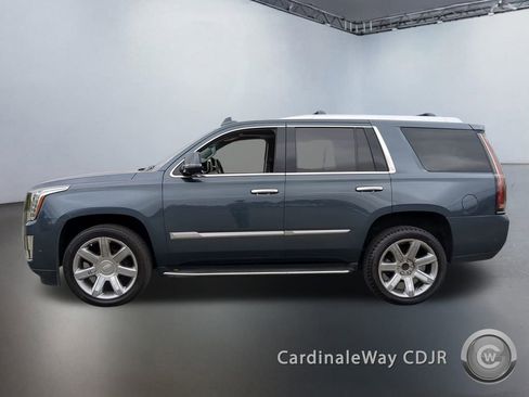 Used 2019 Cadillac Escalade Luxury image 5