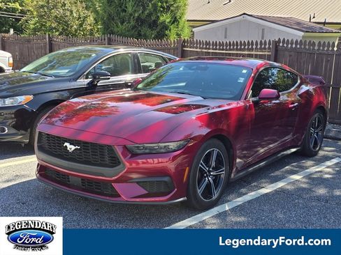 Used 2025 Ford Mustang Coupe RWD image 1