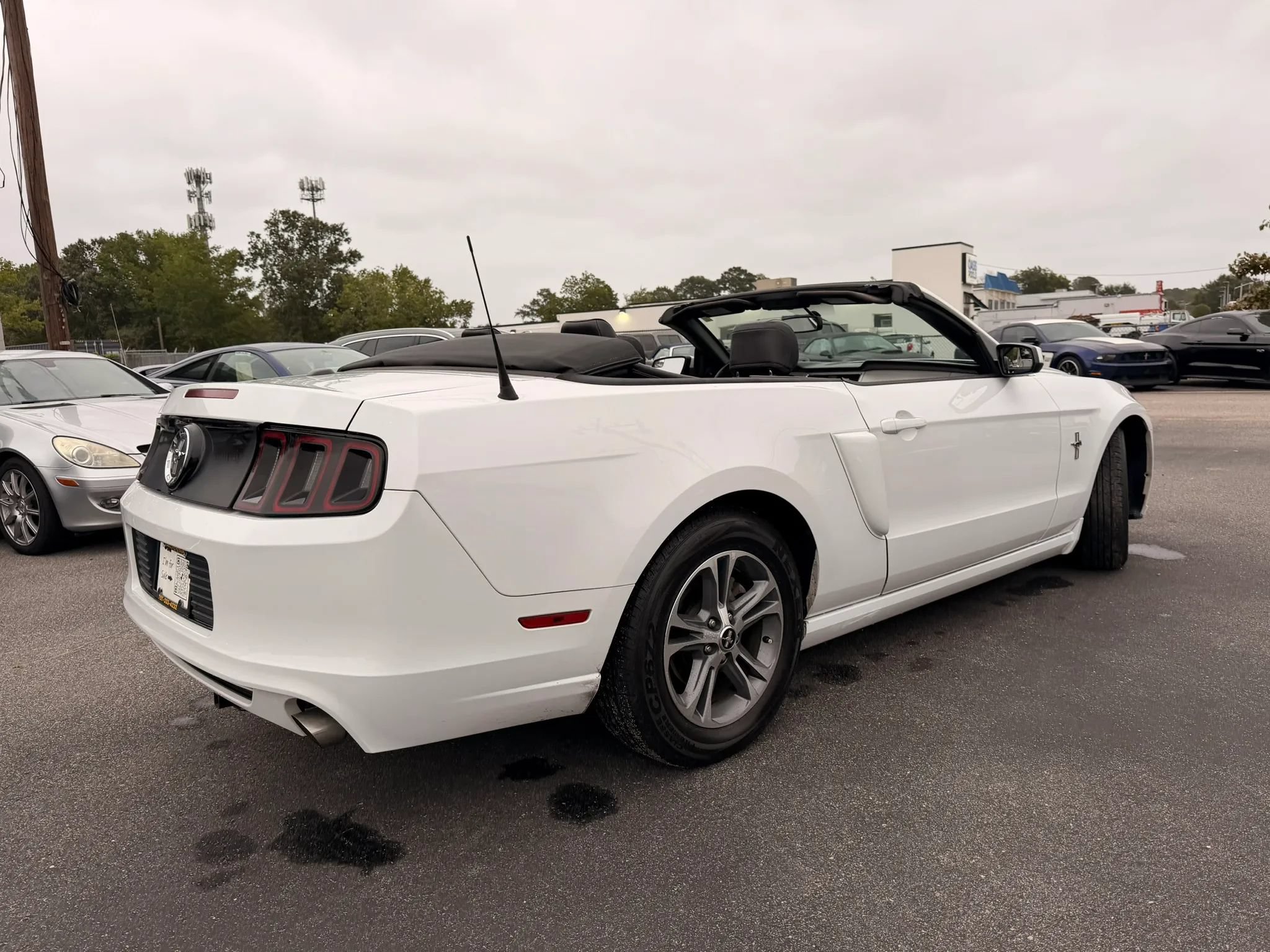 Used 2014 Ford Mustang Premium RWD image 5