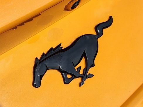 New 2026 Ford Mustang Coupe w/ Mustang Nite Pony Package RWD image 15