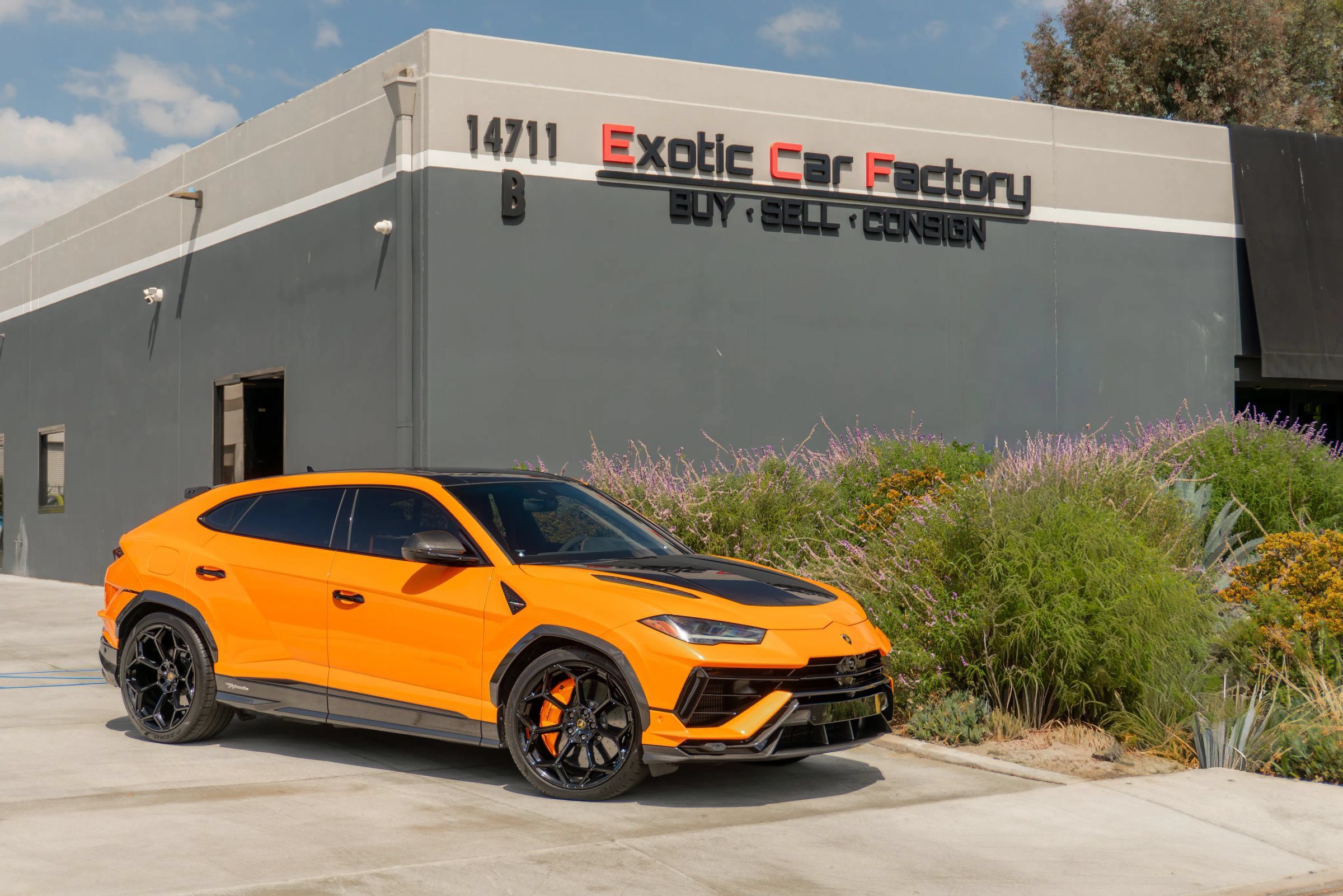 Used 2024 Lamborghini Urus Performante AWD/4WD image 1
