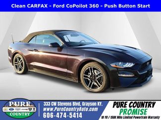 Used 2023 Ford Mustang Premium video 1