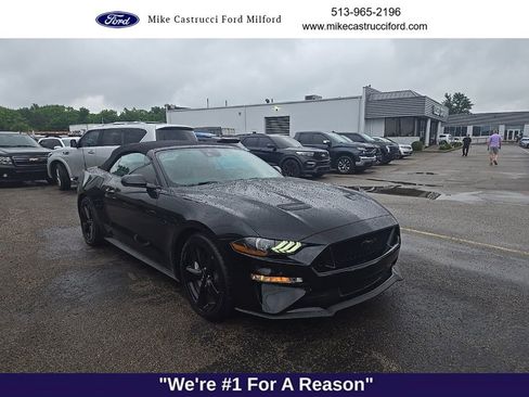 Used 2021 Ford Mustang GT Premium w/ Equipment Group 401A RWD image 1