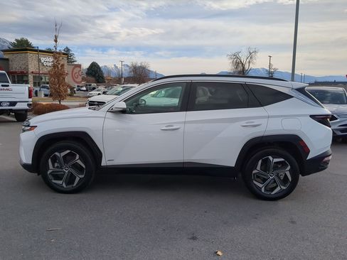 Used 2024 Hyundai Tucson Limited image 9