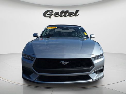 Used 2024 Ford Mustang Premium RWD image 2