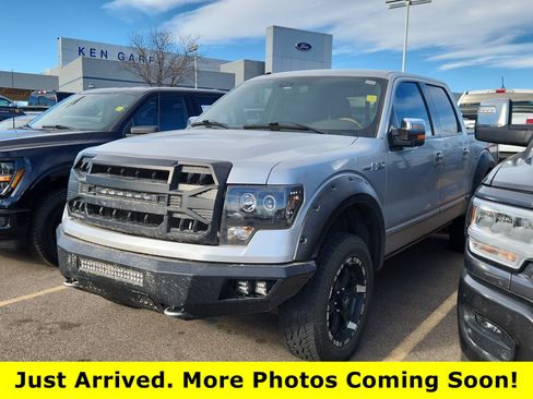 Used 2010 Ford F150 Platinum image 1