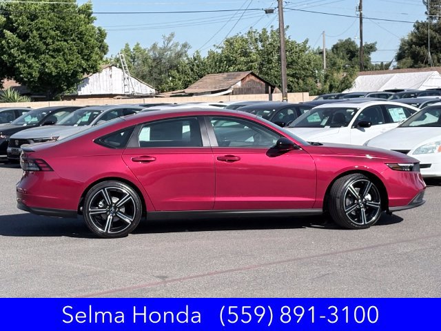New 2026 Honda Accord Sport image 3