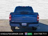 New 2023 Ford F150 XL w/ STX Appearance Package image 6