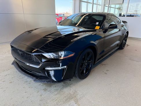 Used 2020 Ford Mustang Coupe w/ Equipment Group 101A image 4