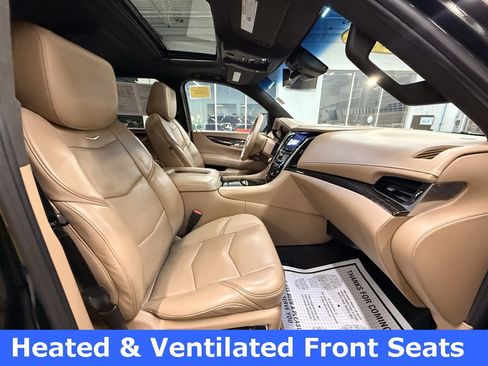 Used 2019 Cadillac Escalade Platinum image 13
