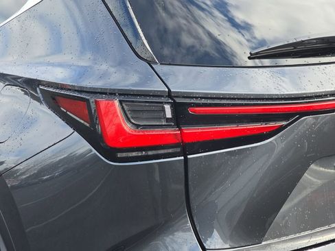 Certified 2025 Lexus NX 350h AWD w/ Cold Area Package image 35