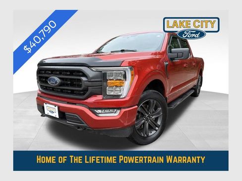 Used 2023 Ford F150 XLT w/ Equipment Group 302A High AWD/4WD image 1