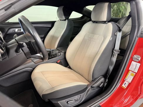 Used 2019 Ford Mustang GT w/ Equipment Group 301A RWD image 11