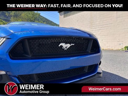 Used 2017 Ford Mustang GT Premium w/ Equipment Group 401A RWD image 3