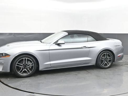 Used 2023 Ford Mustang Premium image 5