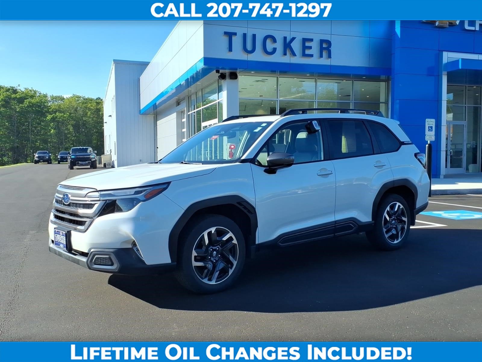 Used 2025 Subaru Forester Limited AWD/4WD image 8