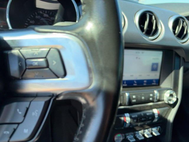 Used 2019 Ford Mustang GT w/ Equipment Group 301A RWD image 14