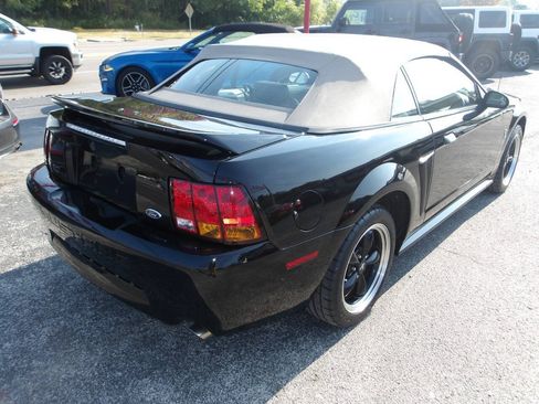 Used 1999 Ford Mustang Cobra RWD image 6