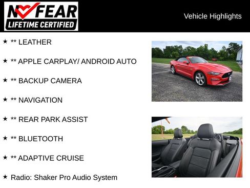 Used 2018 Ford Mustang GT Premium w/ Equipment Group 401A RWD image 2